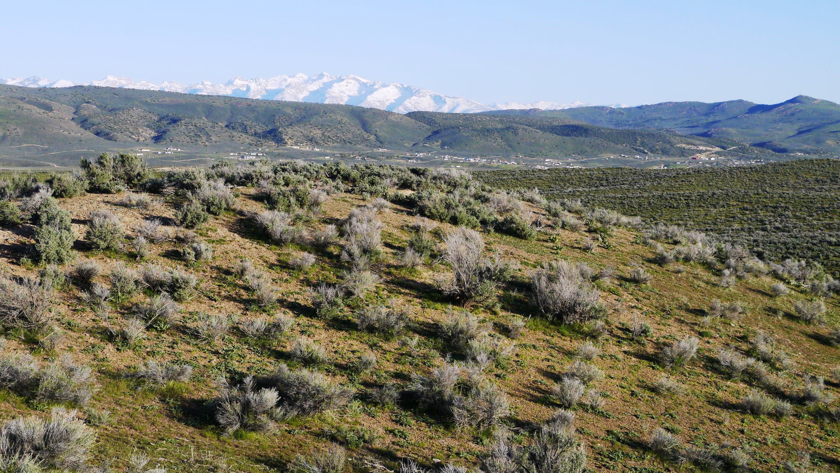 Elko Nevada land for sale